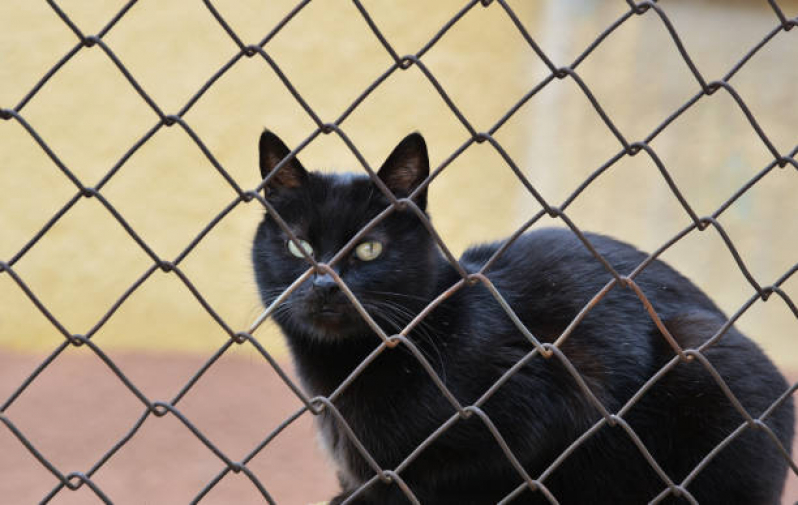 Empresa Especializada em Tela de Proteção Animais Guarulhos - Tela para Proteção de Gatos