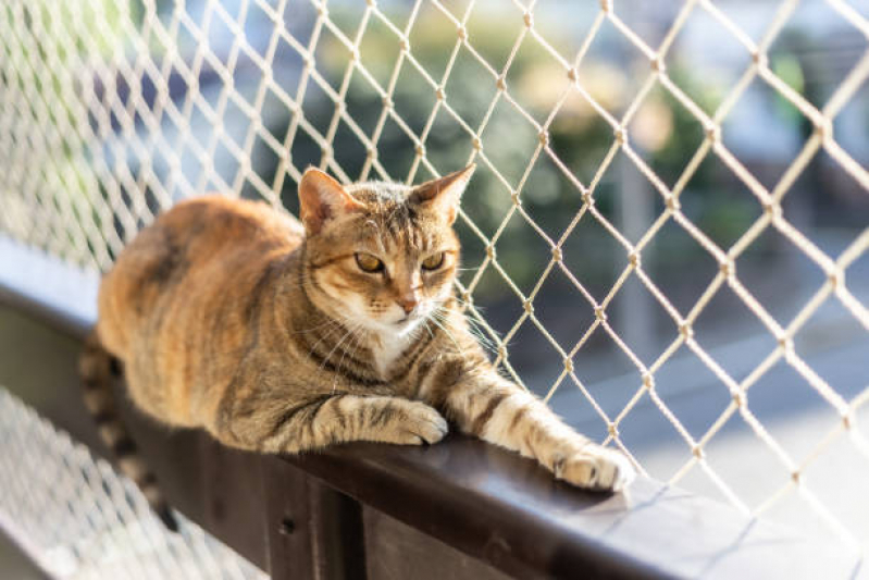 Empresa Especializada em Tela para Gatos Apartamento Vila Nova - Tela de Proteção para Animais