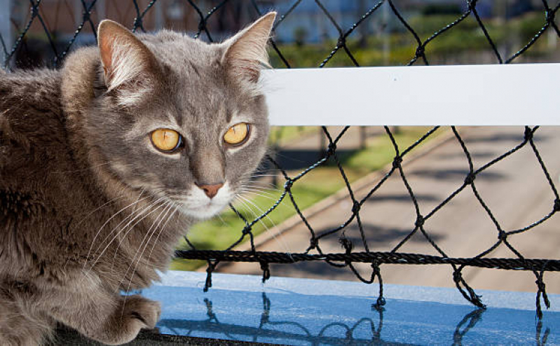 Tela de Proteção Animais Vila Andrade - Tela para Gatos Apartamento