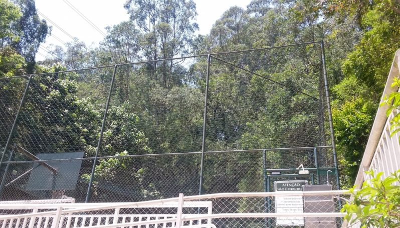 Tela de Proteção para Quadras Parque São Jorge - Tela de Proteção contra Mosquitos