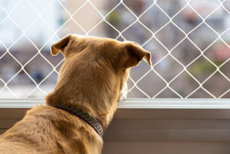 Tela para Cachorro Varanda Casa Verde - Tela Removível para Animais