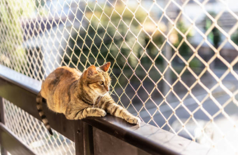 Tela para Gatos Interlagos - Tela para Proteção de Animais Apartamento