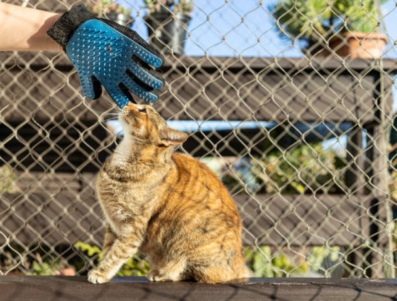 Tela para Proteção de Animais Apartamento Valores  Vila Mascote - Tela para Gatos