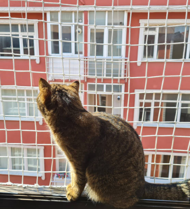 Tela para Proteção de Gatos Porto Alemoa - Tela para Cachorro Apartamento