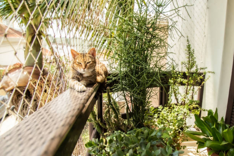 Tela Protetora para Animais Jardim Sul São Paulo - Tela para Proteção de Animais Apartamento