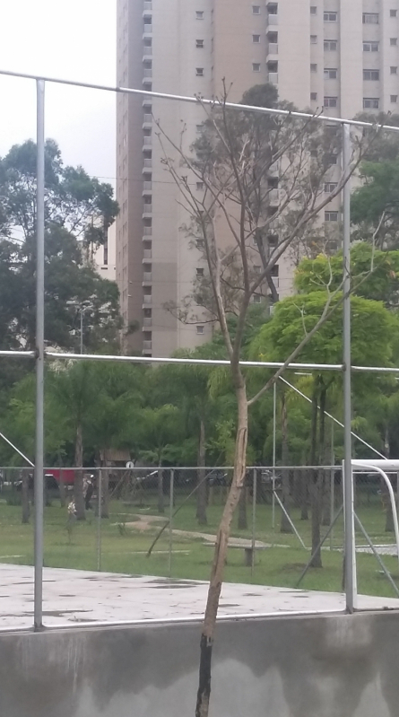 Telas para Alambrado Preço Parque da Mooca - Tela de Quadra Esportiva