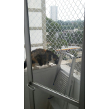 distribuidor de rede proteção gatos  Moema